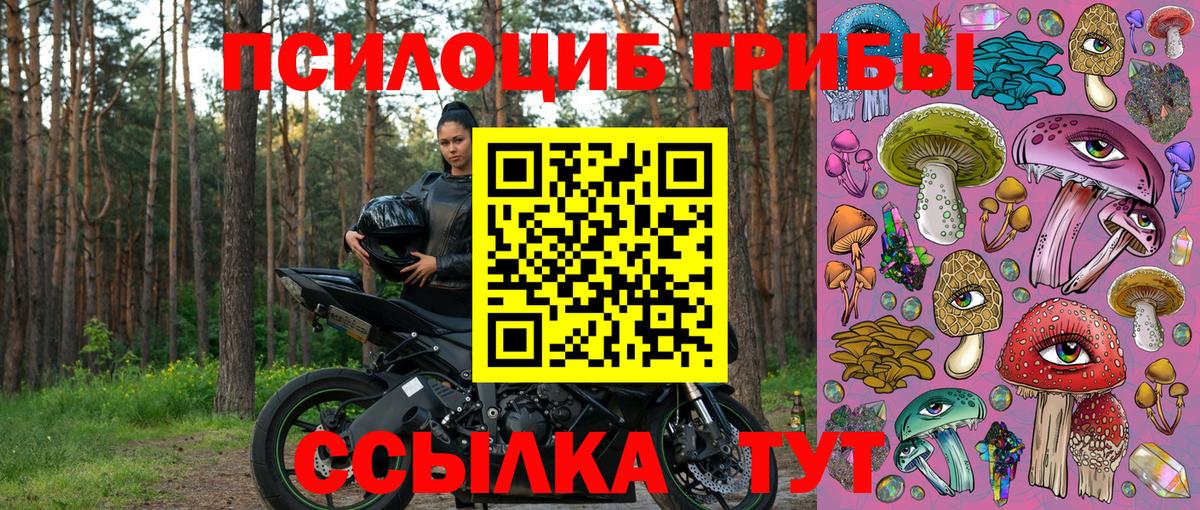 Псилоцибиновые грибы Psilocybe  Вход с VPN  дарнет шоп  Ногинск  Псилоцибиновые грибы Psilocybe 